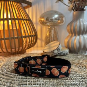 Zatrzask 2,5cm regulacja 27-37cm, dynie, podszycie welur