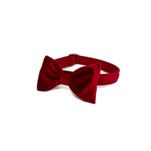 Mucha/ kokarda dla psa Z PASKIEM