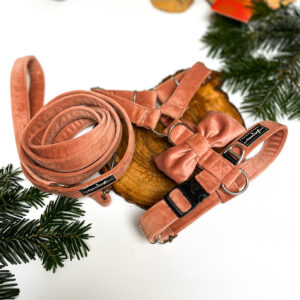 ZESTAW : Szelki romiar S - 2cm, smycz miejska 180cm 2cm, welur pudrowy róż