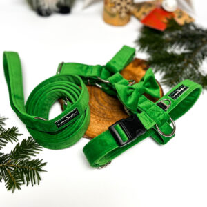 ZESTAW : Szelki romiar M - 2,5cm i smycz miejska 180cm, 2,5cm - welur żywa zieleń