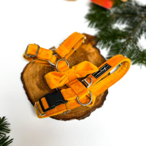 Szelki romiar S - 2cm welur słoneczny